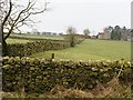 Endon Cottage near Hulme End