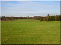 Farmland north of Flint Lane