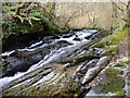 Clywedog at Cyffylliog