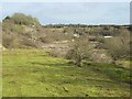 Disused quarry