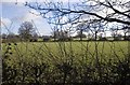 Looking towards Jodrell Bank