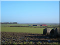 February Farmland