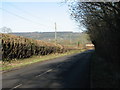 Near Bayford on Old A303