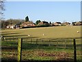 Houses on Strakers Hill and sheep in field, from Stoneheap Lane