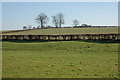 Farmland near Dilwyn