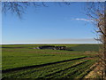 Helperthorpe Pasture