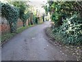 Looking SW along lane leading from Church Farm