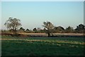 Field & hedgerow, Badminston.