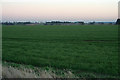 Farmland near Temple Wood