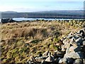 NR9293 : Dun above Loch Glashan by Patrick Mackie