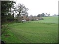 View of houses from Brickfield Road