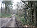 TR1849 : View along road through  Covert Wood by Nick Smith