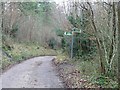 Footpath through Covert Wood