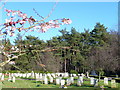 Bordon Military Cemetery