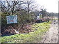 Military Training Area, The Warren, Bordon