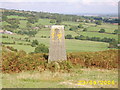 Concrete Pillar