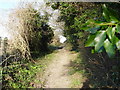 Bridleway from Gorcombe Farm to Manor Farm