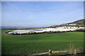 Chalk Quarry, Burham