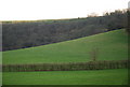 Towards Elcombe Copse