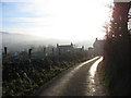 The houses at the top of Allt Pont-rhythallt