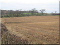 Stubble Field