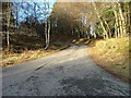 Driveway to Drumour Lodge