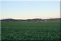 Looking across to Broadward Farm.