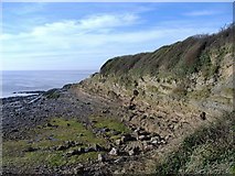 ST4677 : Cliff, near Battery Point by Roger Cornfoot