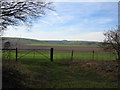 Wiltshire Farmland