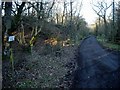 Private road to Woodhead Cottage