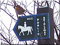 Robin on Bridleway Sign