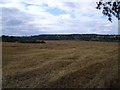 Harvest Time in the Great Ouse Valley