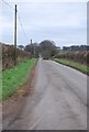 Roman Road to Badbury Rings from Shapwick