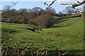 Valley east of Lawhitton