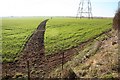 Path to Highfield House farm