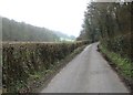 Pett Bottom road as it starts to climb towards Stelling Minnis