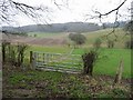 View across Lynsore Bottom