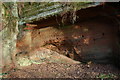 Rock outcrop, Kinver Edge