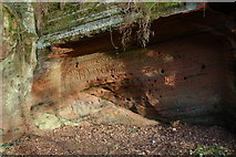 SO8282 : Rock outcrop, Kinver Edge by Philip Halling