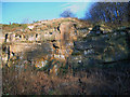 Disused quarry - Droppingwell Lane