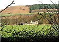 Boundary Hedge looking Northeast