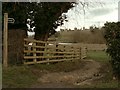 Footpath across The Mere Nature Reserve