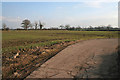 Farm road near Desford