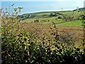 Hillside at Liggetcheek