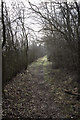 TL2953 : Track to Hayley Wood, Longstowe, Cambridgeshire by Martin John Bishop
