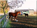 Maisey Farm, Ogbourne Maisey, Marlborough, Wiltshire