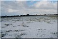 Frosty fields