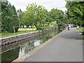 Tavistock Canal in the Meadows