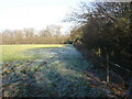 Frosted field on Hinksey Hill