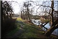 Footpath by the River Devon